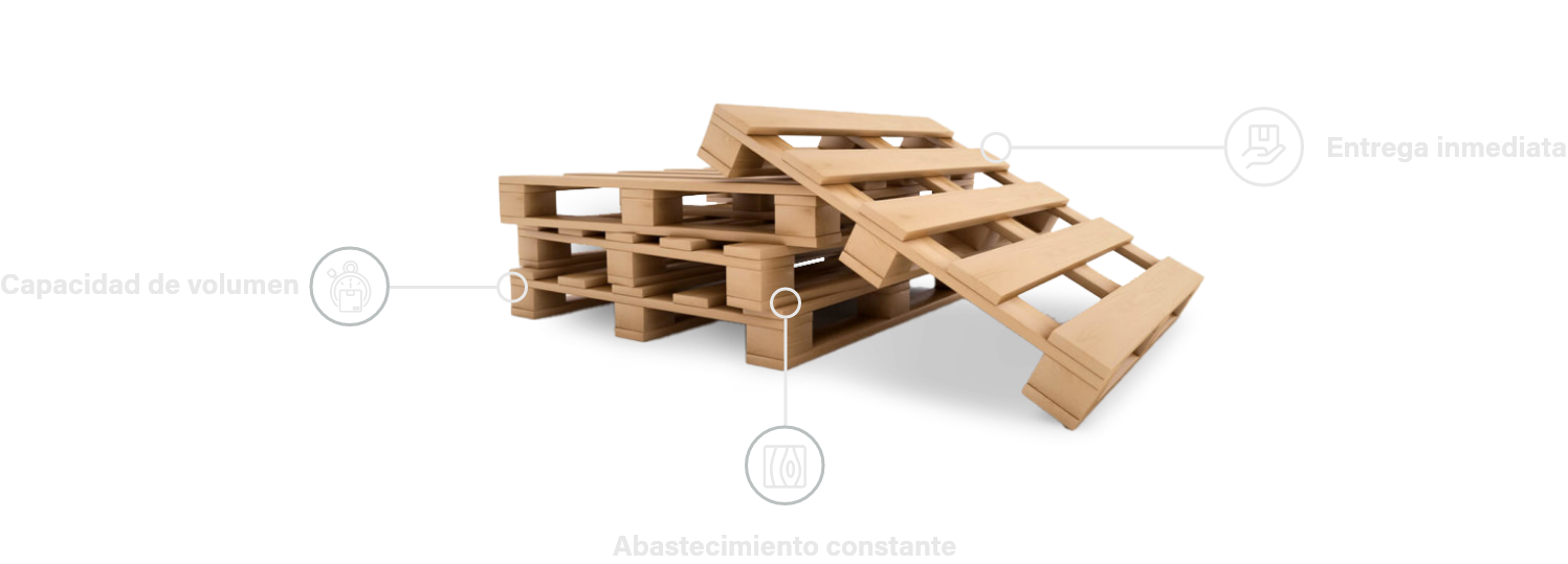 Inicio